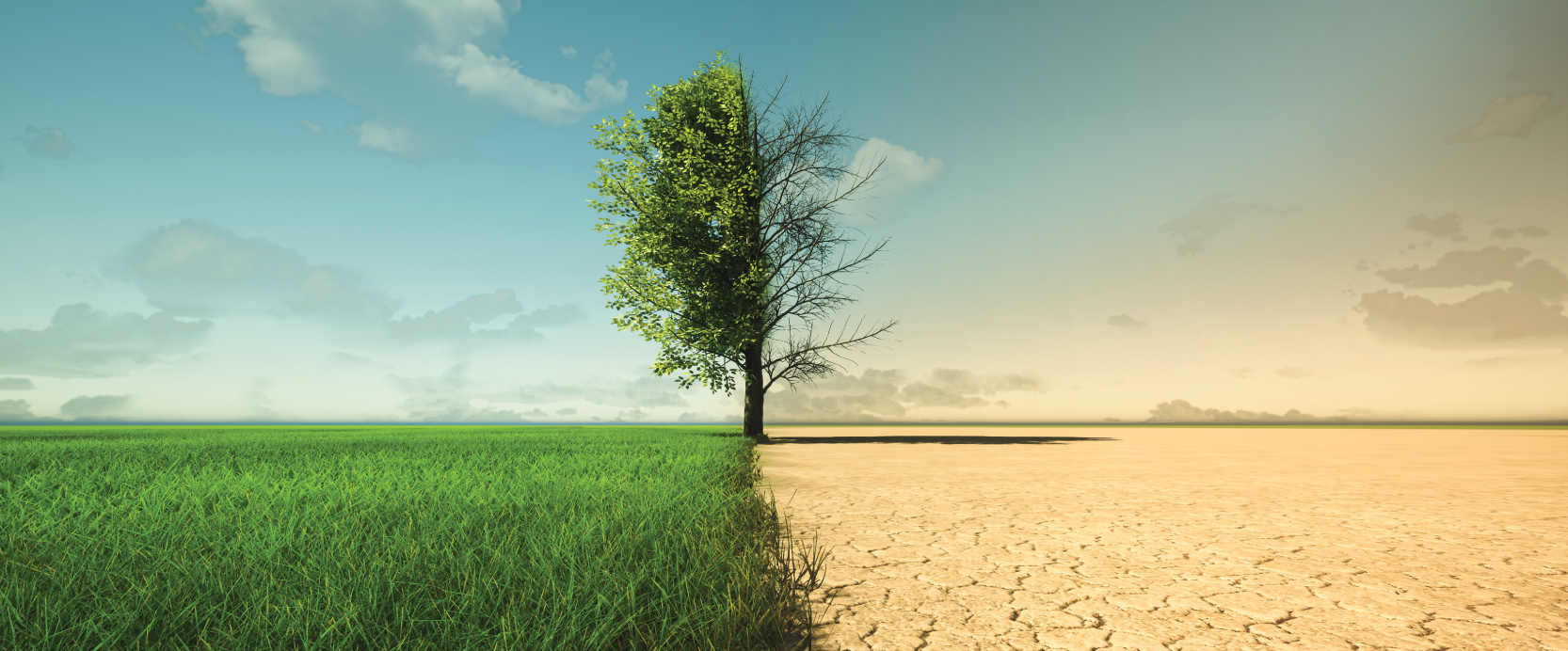 Climate change might cause kidney stones